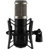 IMG STAGELINE Studio microphone ECMS-90