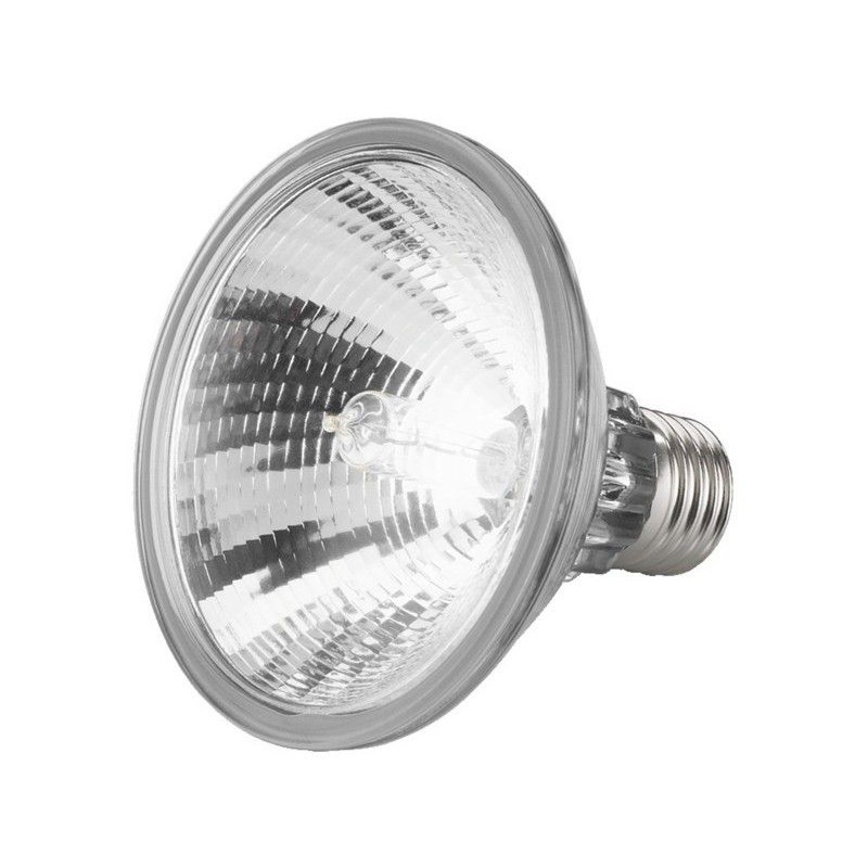 Halogen Lamp, PAR30, HISPOT-95FL