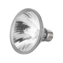 Halogen Lamp, PAR30, HISPOT-95FL