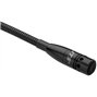 GM-5218 Electret Gooseneck Microfoon - Supercardioïde