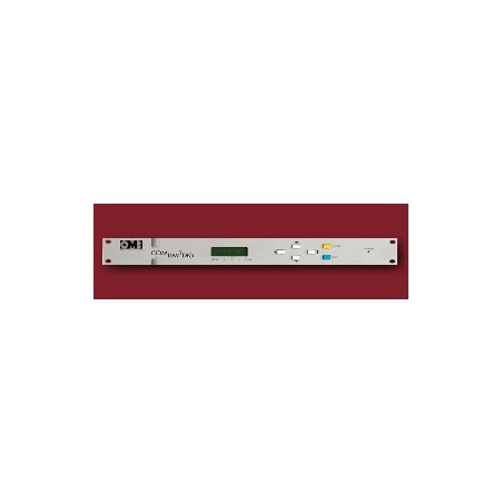 Audio-Processors
